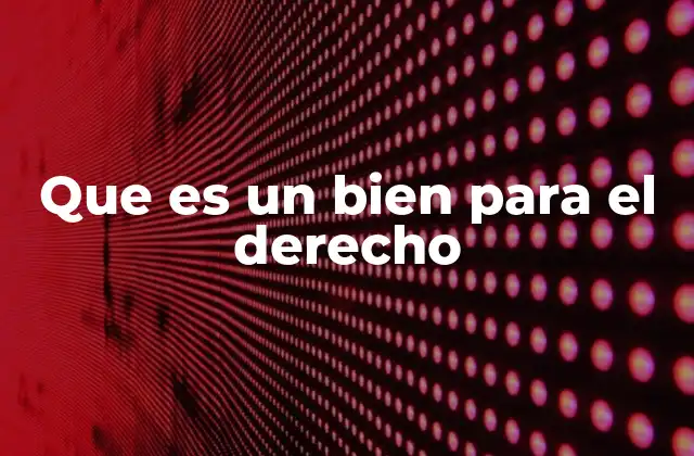 Que es un Bien para el Derecho