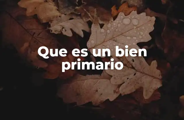 Que es un Bien Primario