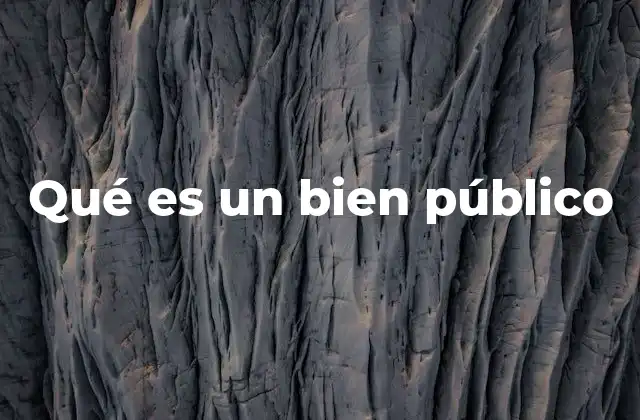 Qué es un Bien Público