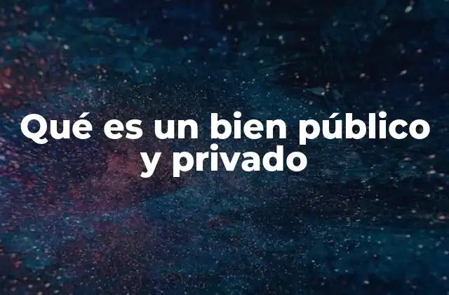 Qué es un Bien Público y Privado