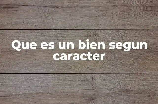 Que es un Bien Segun Caracter