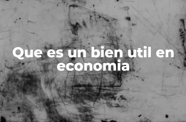 Que es un Bien Util en Economia