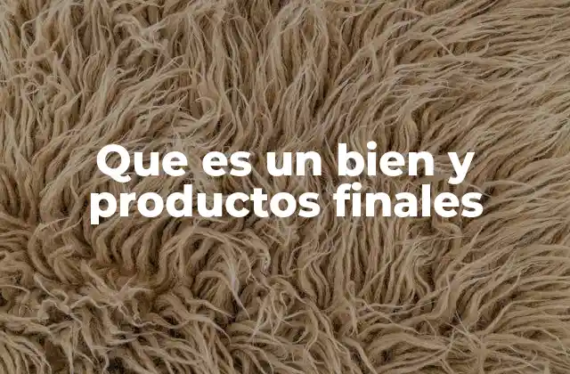 Que es un Bien y Productos Finales 2 Diferencias entre bienes intermedios y productos terminados
