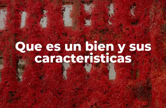 Que es un Bien y Sus Caracteristicas