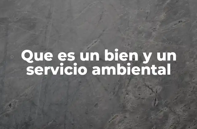 La importancia de los recursos naturales para la vida humana