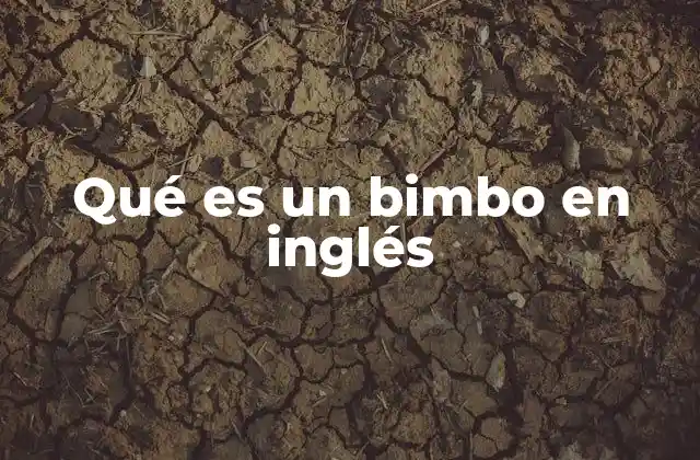 Qué es un Bimbo en Inglés