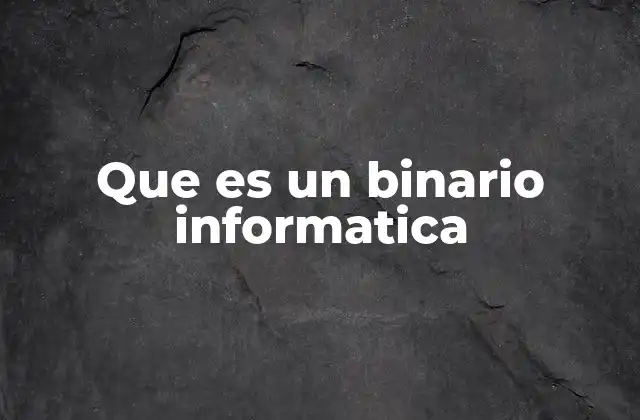 Que es un Binario Informatica