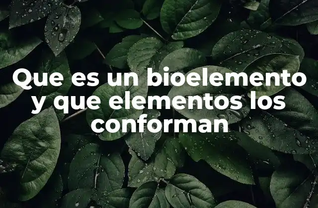 Que es un Bioelemento y que Elementos los Conforman