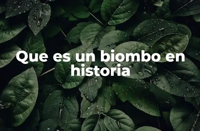 Que es un Biombo en Historia