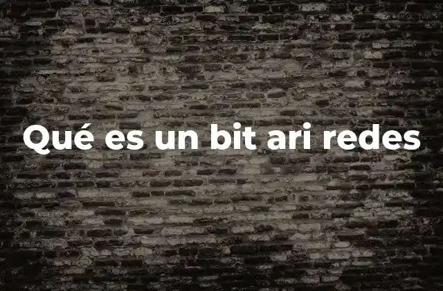 Qué es un Bit Ari Redes