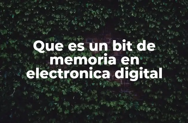 Que es un Bit de Memoria en Electronica Digital