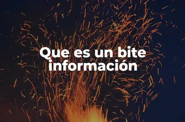 Que es un Bite Información