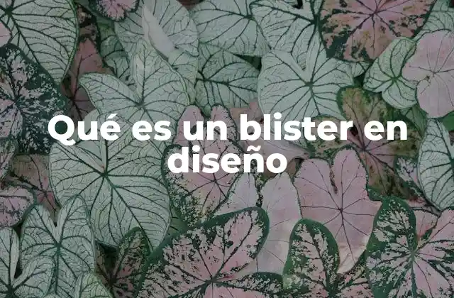 Qué es un Blister en Diseño