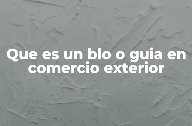 Que es un Blo o Guia en Comercio Exterior