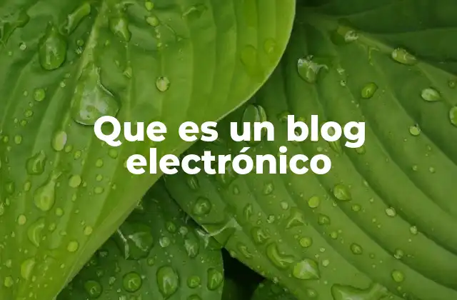 Que es un Blog Electrónico