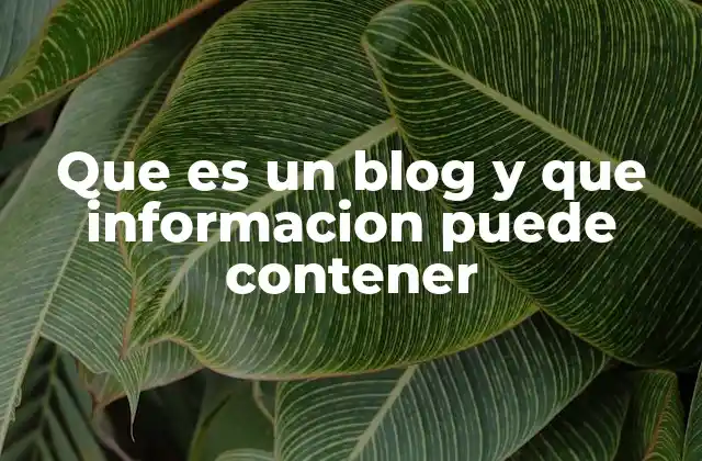 Que es un Blog y que Informacion Puede Contener