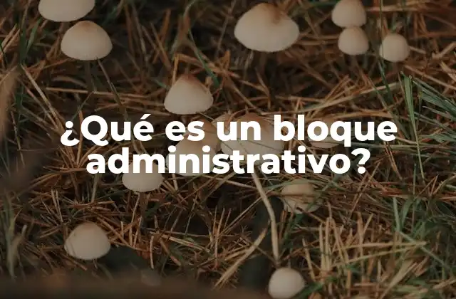 ¿qué es un Bloque Administrativo?