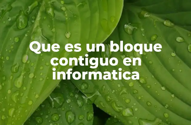 Que es un Bloque Contiguo en Informatica