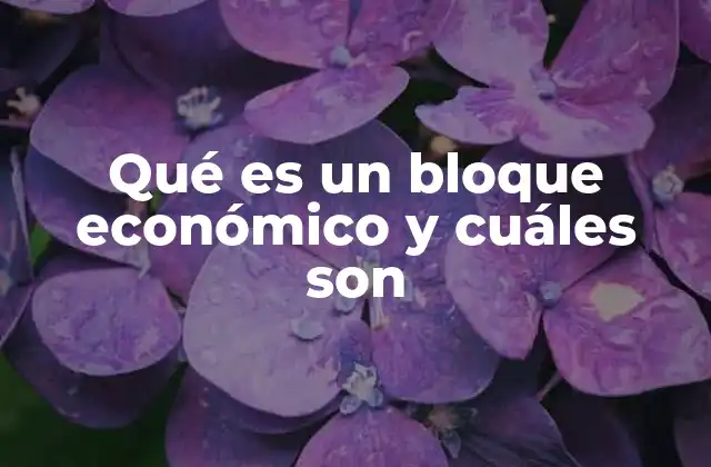 Qué es un Bloque Económico y Cuáles Son