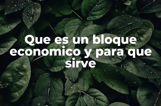 Que es un Bloque Economico y para que Sirve