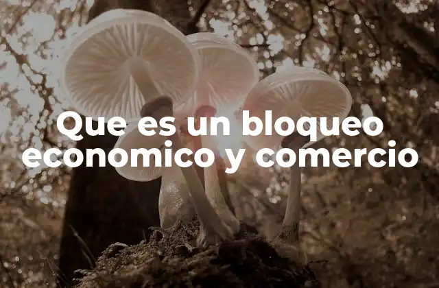 Que es un Bloqueo Economico y Comercio