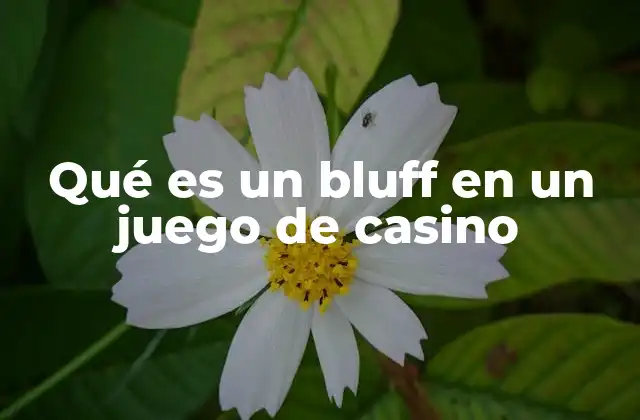 Qué es un Bluff en un Juego de Casino