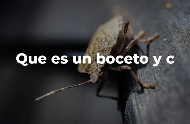 Que es un Boceto y C