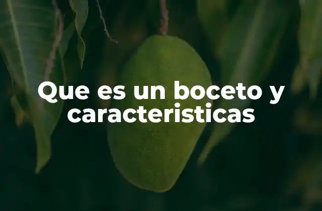 Que es un Boceto y Caracteristicas