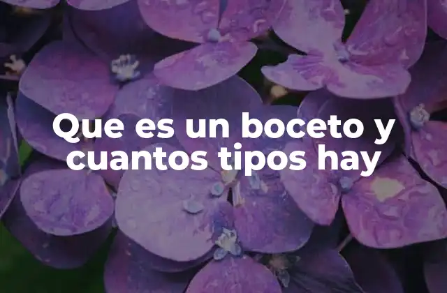 Que es un Boceto y Cuantos Tipos Hay