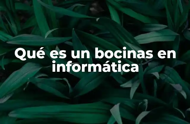 Qué es un Bocinas en Informática