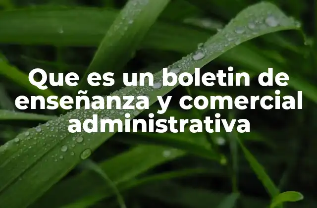 Que es un Boletin de Enseñanza y Comercial Administrativa