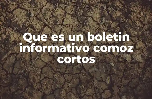 La evolución de los boletines en el contexto digital