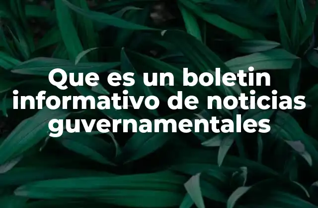 Que es un Boletin Informativo de Noticias Guvernamentales