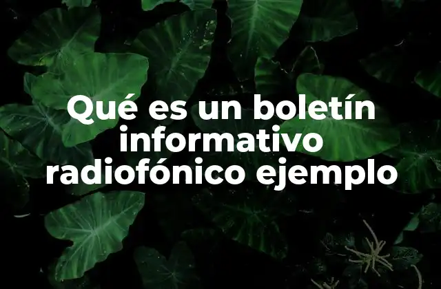 Qué es un Boletín Informativo Radiofónico Ejemplo