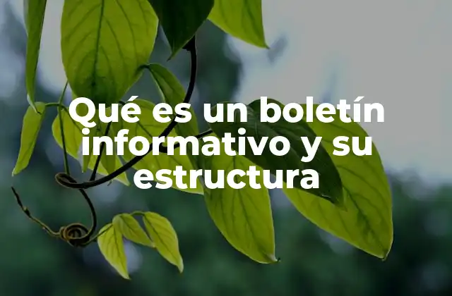 Qué es un Boletín Informativo y Su Estructura