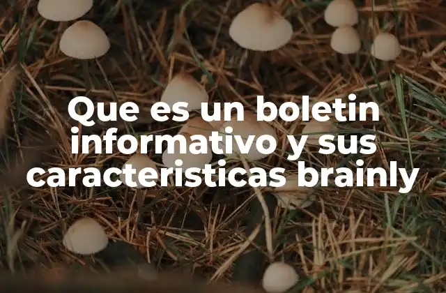Que es un Boletin Informativo y Sus Caracteristicas Brainly