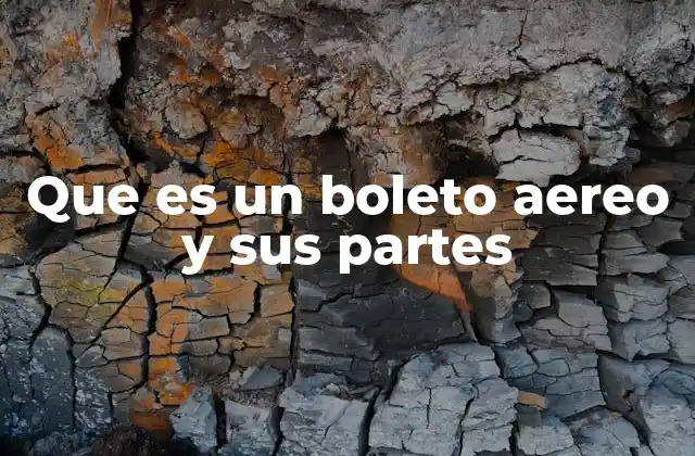 Que es un Boleto Aereo y Sus Partes