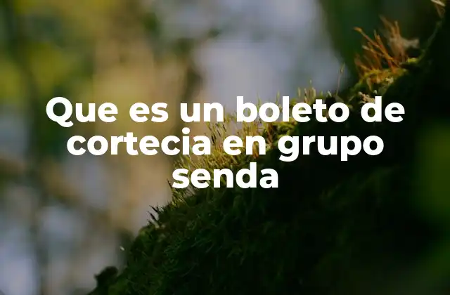 Que es un Boleto de Cortecia en Grupo Senda