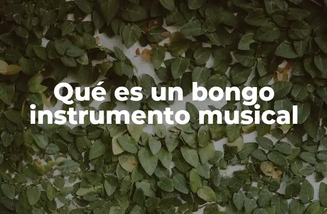 Qué es un Bongo Instrumento Musical