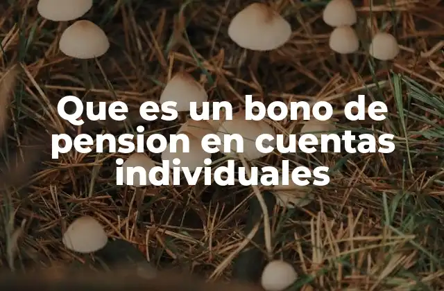 Que es un Bono de Pension en Cuentas Individuales