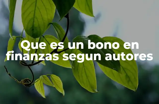 Que es un Bono en Finanzas Segun Autores