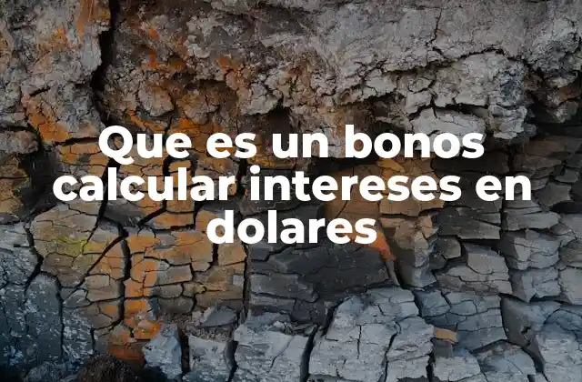 Que es un Bonos Calcular Intereses en Dolares