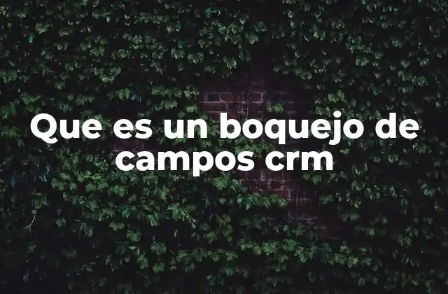 Que es un Boquejo de Campos Crm
