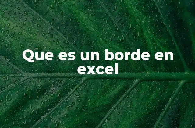 Que es un Borde en Excel