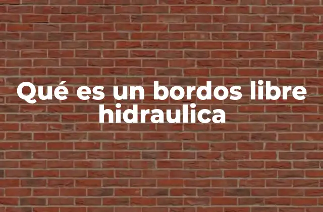 Qué es un Bordos Libre Hidraulica