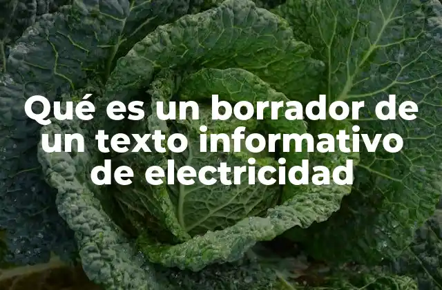 Qué es un Borrador de un Texto Informativo de Electricidad