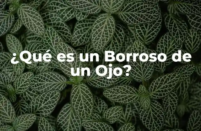 ¿qué es un Borroso de un Ojo?