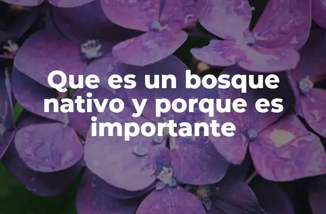 Que es un Bosque Nativo y Porque es Importante