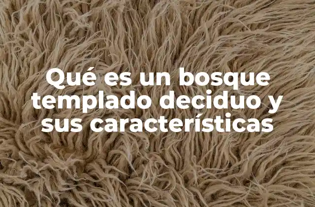 Qué es un Bosque Templado Deciduo y Sus Características 2 Características de los bosques templados deciduos