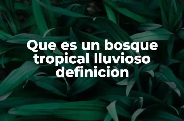 Características que definen a este tipo de bosque